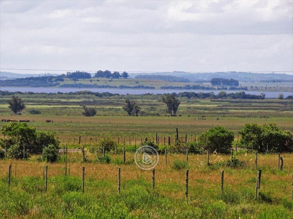 Casa De Campo Cerca Del Cabo Villa Rincón de los Oliveras Buitenkant foto