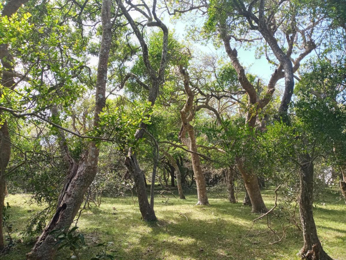 Casa De Campo Cerca Del Cabo Villa Rincón de los Oliveras Buitenkant foto